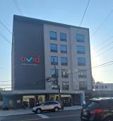 Avid Hotel