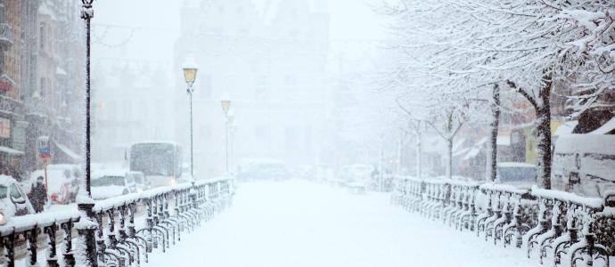 NYC Central Park Mall in a snowstorm